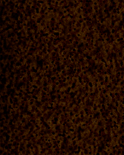 The Dewy Day Recharge
